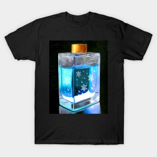 Christmas winter spell bottle snowflakes T-Shirt